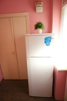 Cozy apartment 5 minutes to the Opera, Lviv - apartment by the day