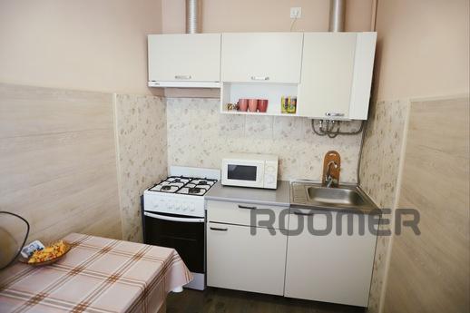 Cozy apartment 5 minutes to the Opera, Lviv - apartment by the day