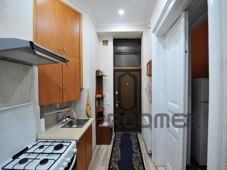 Luxury apartment in the center of Lviv !, Lviv - apartment by the day