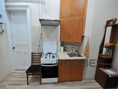 Luxury apartment in the center of Lviv !, Lviv - apartment by the day