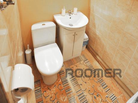 Luxury apartment in the center of Lviv !, Lviv - apartment by the day