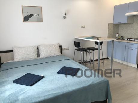 Cozy studio on Vesennaya, Lyubertsy - apartment by the day