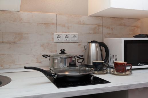 Modern studio on Voronitsyna, Khimki - apartment by the day