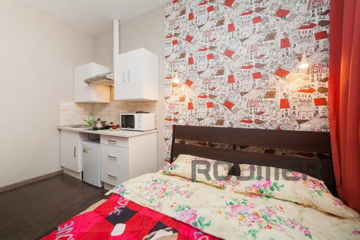 Description Modern studio with designer renovation in the re