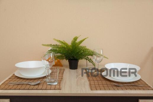 Stylish studio near metro Bibirevo, Moscow - apartment by the day