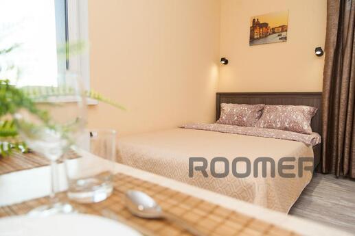 Stylish studio near metro Bibirevo, Moscow - apartment by the day