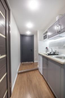Cozy studio on Nizhnyaya Krasnoselskaya, Moscow - apartment by the day