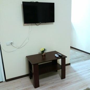 2x.k. Euro, center, Cossack Palace, medi, Zaporizhzhia - apartment by the day