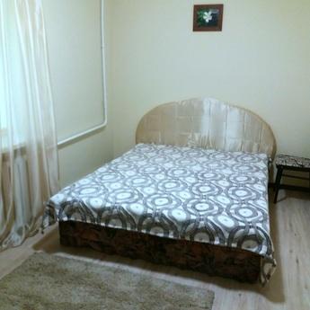 2x.k. Euro, center, Cossack Palace, medi, Zaporizhzhia - apartment by the day