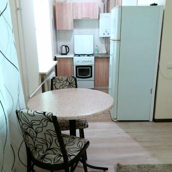 2x.k. Euro, center, Cossack Palace, medi, Zaporizhzhia - apartment by the day