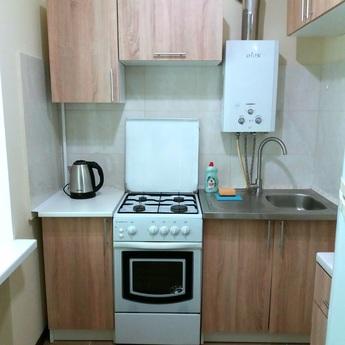 2x.k. Euro, center, Cossack Palace, medi, Zaporizhzhia - apartment by the day