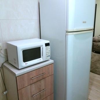 2x.k. Euro, center, Cossack Palace, medi, Zaporizhzhia - apartment by the day