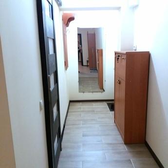 2x.k. Euro, center, Cossack Palace, medi, Zaporizhzhia - apartment by the day