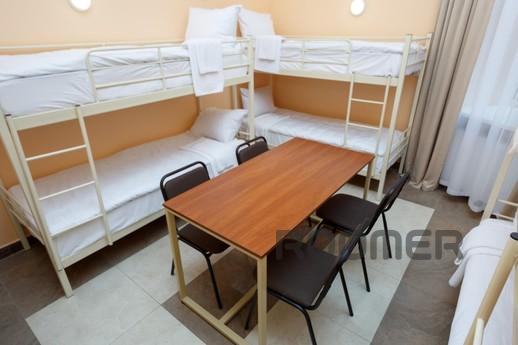 Novyi SUPUTERNIK hostel in the old town, Lviv - apartment by the day