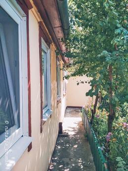 I will hand over an apartment, Mirgorod - apartment by the day