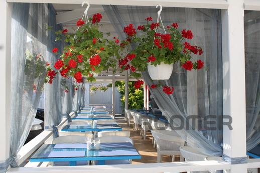 Sea tour - Villa Santorini Hotel, Zatoka - apartment by the day