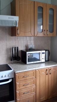 1 bedroom apartment in the center of Nov, Novosibirsk - apartment by the day