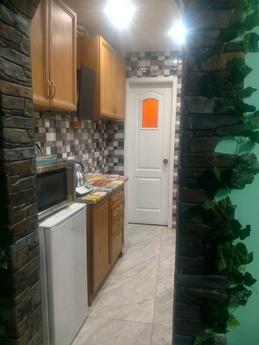 Apartment in the center of Lviv, Lviv - apartment by the day