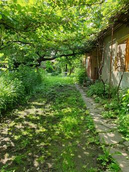 House for holidays!, Berehovo - apartment by the day
