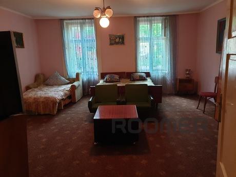House for holidays!, Berehovo - apartment by the day