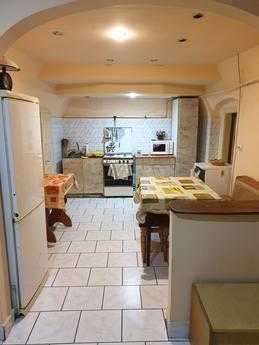 House for holidays!, Berehovo - apartment by the day