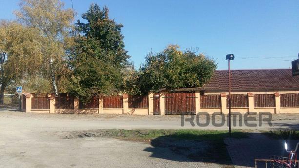 House for rent in the city of Mirgorod, Mirgorod - apartment by the day
