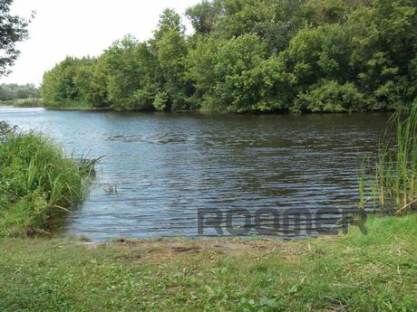 Rent an apartment, Mirgorod - apartment by the day
