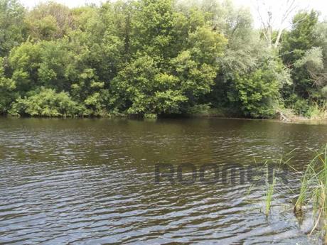 Rent an apartment, Mirgorod - apartment by the day