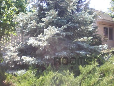 Holidays by the sea in Sanzheyka, Sanzheyka - apartment by the day
