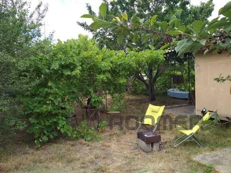 Rent a cottage (room), Chernomorsk (Illichivsk) - apartment by the day