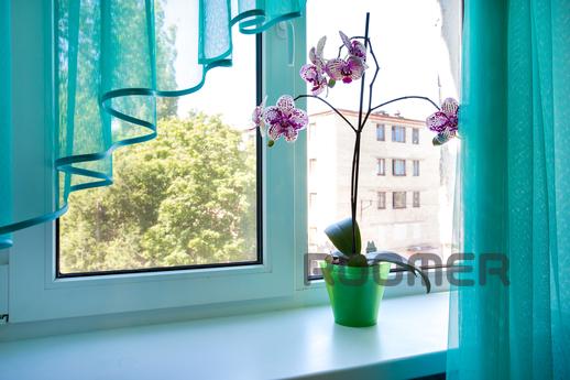Own 1 C / C suite on Mira Ave., document, Mykolaiv - apartment by the day