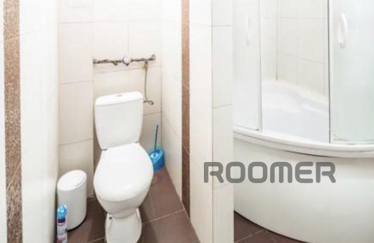 Quiet apartments in the center of Lviv, Lviv - apartment by the day