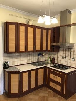 APARTMENTS DT, Lviv - apartment by the day