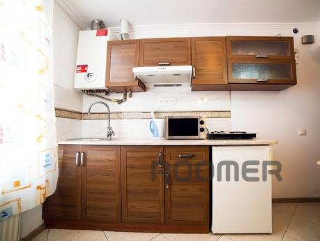 studio apartment in the center of town, Lviv - apartment by the day