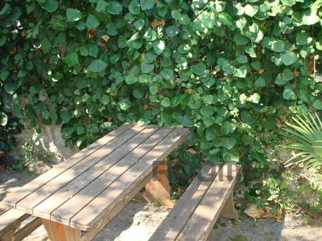 Rent a house in the center of Yalta from, Yalta - apartment by the day