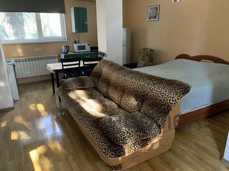 Studio in center of Yalta with parking, Yalta - apartment by the day