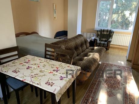 Studio in center of Yalta with parking, Yalta - apartment by the day