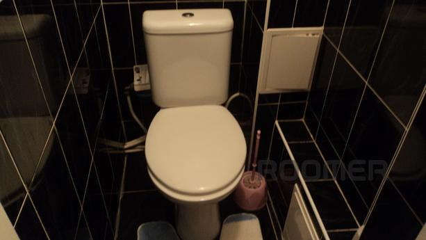 VIP 3 -bedroom apartment, Uzhhorod - apartment by the day