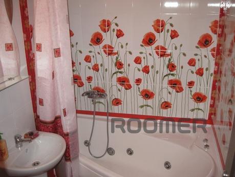 I rent my studio apartment on Lenin Avenue in daily (hourly)