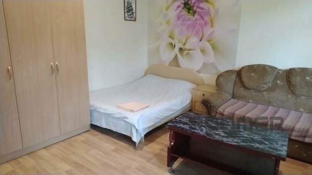 Spacious apartment in the cultural and business center of Zh