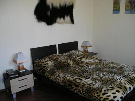 Modern 1room flat, Podol, conditioner., Kyiv - apartment by the day