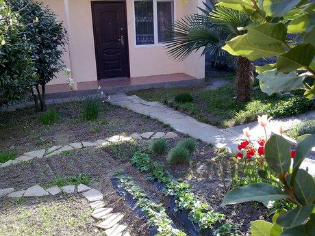 Rent one-room apartment in Alushta, Alushta - apartment by the day