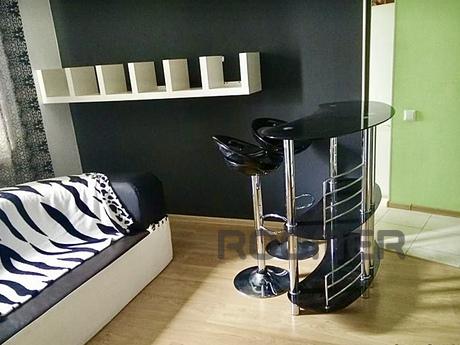 VIP 2-bedroom New Year, Kyiv - apartment by the day