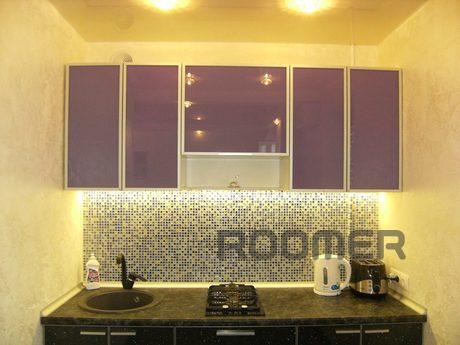Luxe  apartment in the center, Kharkiv - apartment by the day