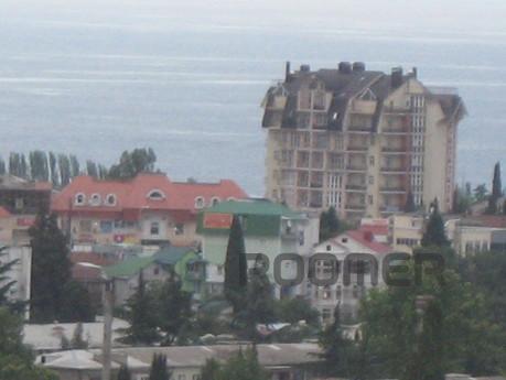 species apartment in Alushta, Alushta - apartment by the day