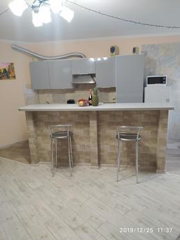 Studio in Truskavtsi complex Lisova Pi, Truskavets - apartment by the day