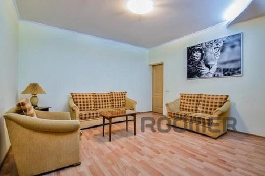 Large apartment near the Opera, Lviv - apartment by the day