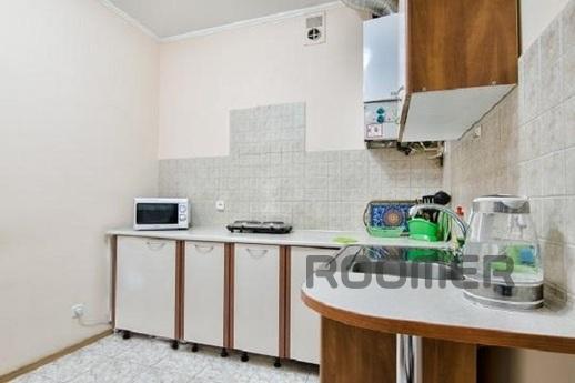 Large apartment near the Opera, Lviv - apartment by the day