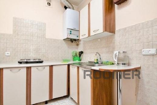 Large apartment near the Opera, Lviv - apartment by the day