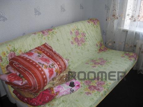 For daily rent one bedroom apartment within walking distance